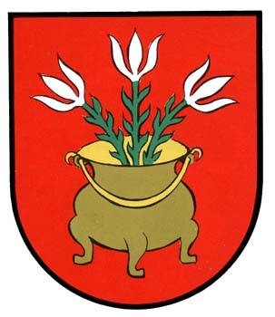 Immagine: Comune di Meltina