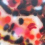 Immagine: 06 - Leonardi Michele