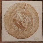 Immagine: 14 Colle - trentasei anni di pittura 44x44