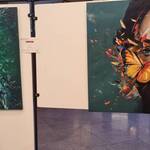 Immagine: 1739960903312