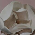 Immagine: 2 Colle - magnolia su sfondo rosa antico 50x60