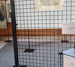 Immagine: 20230309_130357