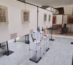 Immagine: 20230313_104941