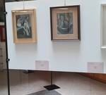 Immagine: 20230313_104951