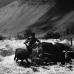 Immagine: 4031 Giuseppe Ripa Nei pressi di Alchi - india 1998