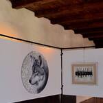 Immagine: 474460343_122197693208178791_7950843190713685147_n