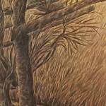 Immagine: 492527225_9541114515966206_8150927159910721656_n