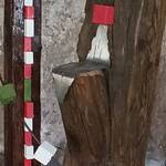 Immagine: 492959993_9541114232632901_166224686150073269_n