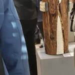 Immagine: 557418009_10239826194182068_8295605781365701020_n