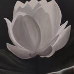 Immagine: 6 Colle - fior di loto 50x60