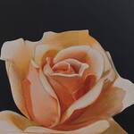 Immagine: 9 Colle - rosa arancione 40x50