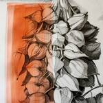 Immagine: ALESSANDRA IANES