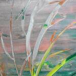 Immagine: Ambrosi 4