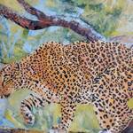 Immagine: Antolini 5