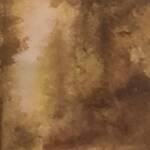 Immagine: Bertotti - 12