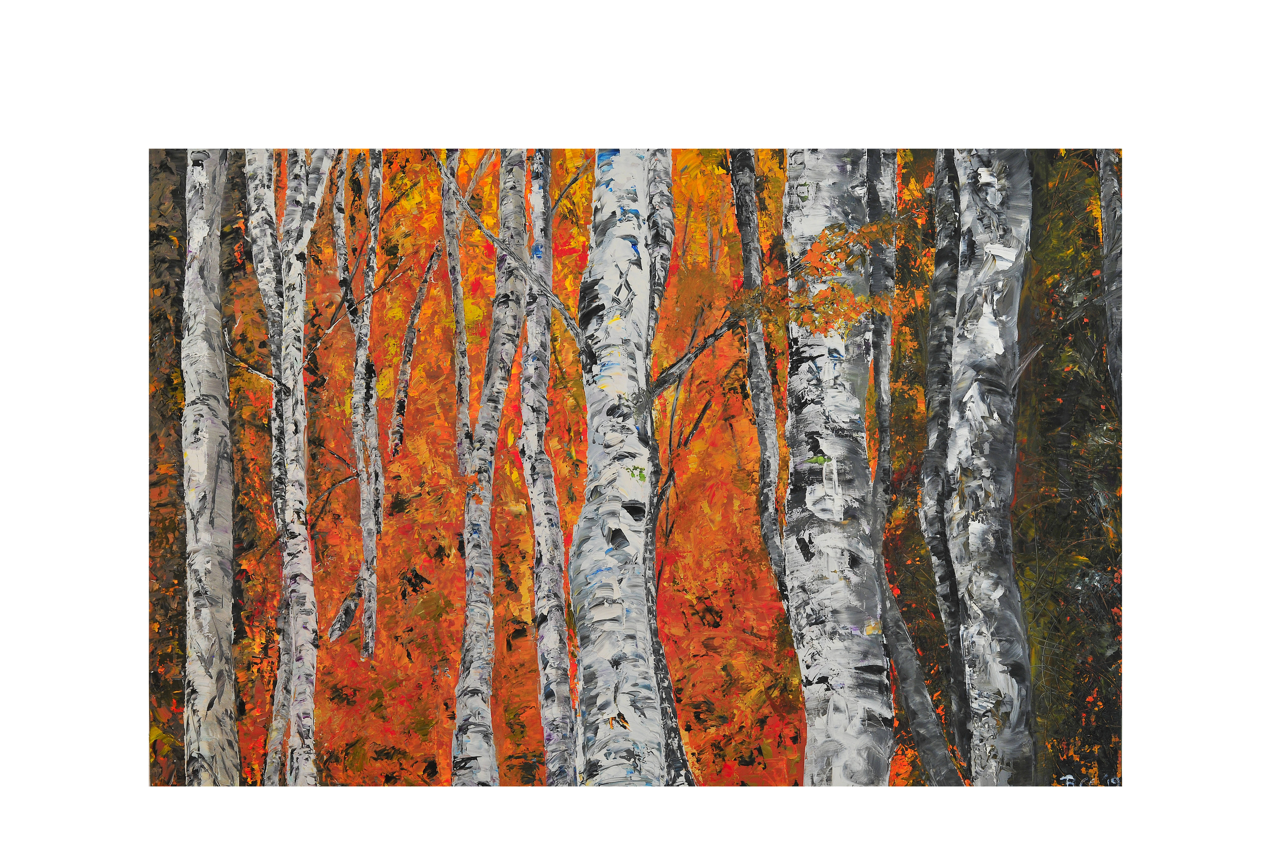Immagine: betulle dautunno