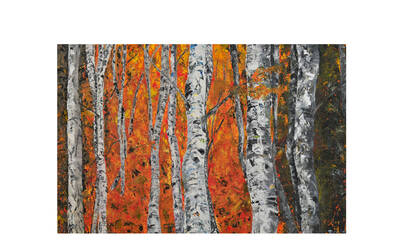 Immagine: betulle dautunno