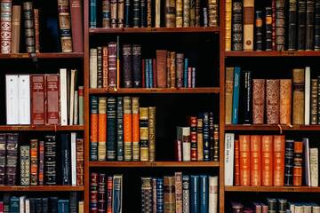 Biblioteca sulle autonomie e le minoranze linguistiche