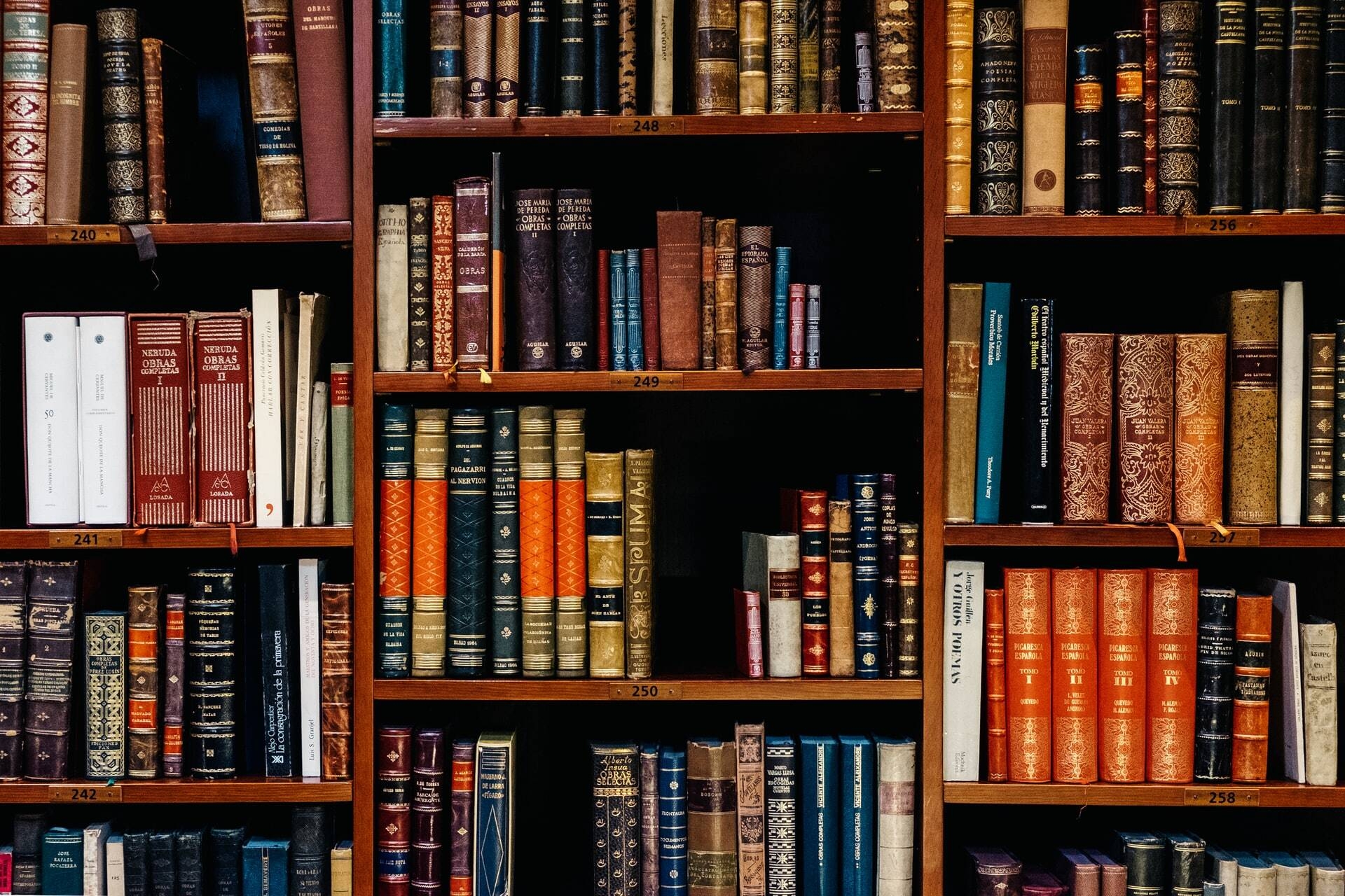 Immagine: Biblioteca