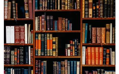 Immagine: Biblioteca