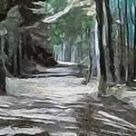 Immagine: Bruno Capossela - Passeggiata tra i boschi,Vigolana TN, acrilico mis 24x15 