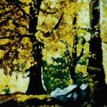 Immagine: Caliari Giulio - nel bosco