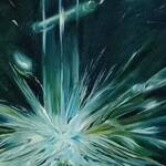 Immagine: CARLA NICOLOSI