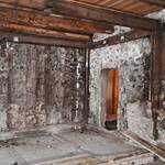 Immagine: Ciasa Costazza (2)