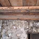 Immagine: Ciasa Costazza (3)