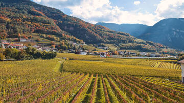 MONTAGNA DIVENTA MONTAGNA SULLA STRADA DEL VINO MONTAGNA DIVENTA MONTAGNA SULLA STRADA DEL VINO