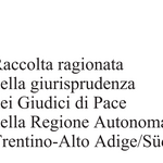 Immagine: copertina Raccolta ragionata_2025