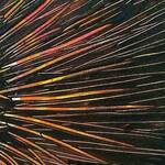 Immagine: El Bicer Mohamed 10