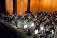 Immagine: Fondazione Haydn2