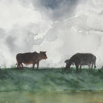 Immagine: Fulvia Marzadro - pascolo all imbrunire
