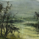 Immagine: Gasperi Thomas - Fiume nel bosco