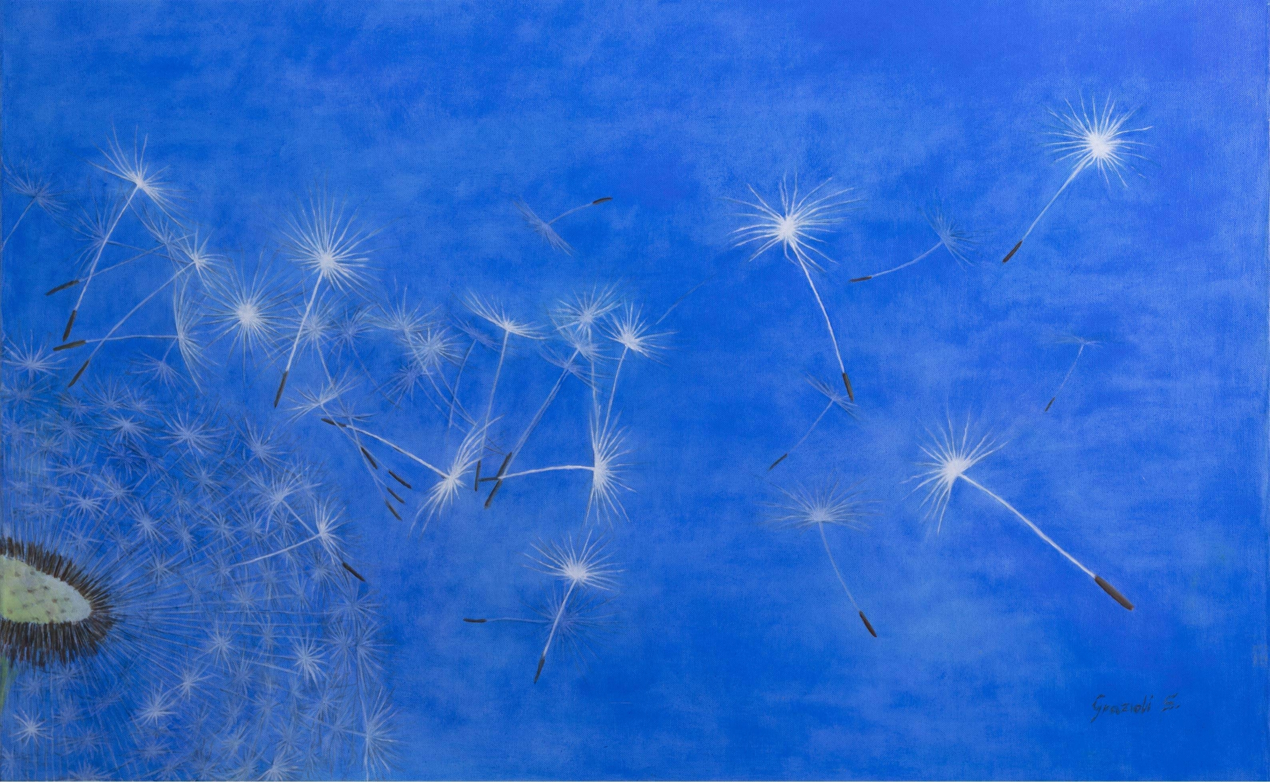 Immagine: Grazioli Silvia - note libere 