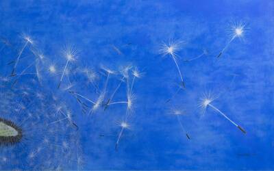Immagine: Grazioli Silvia - note libere 