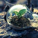 Immagine: Green economy