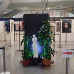 Immagine: IMG_20250217_145325