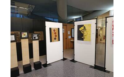 Immagine: IMG_20251125_075134