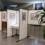 Immagine: IMG_20260122_074510