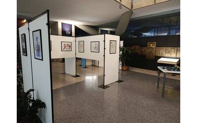 Immagine: IMG_20260122_074518