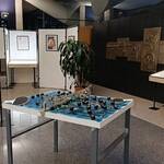 Immagine: IMG_20260122_074528