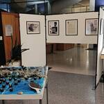 Immagine: IMG_20260122_074537