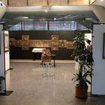 Immagine: IMG_20260220_075031