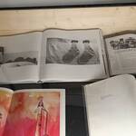 Immagine: IMG_20260220_075244