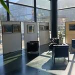 Immagine: IMG_20260226_111414