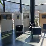 Immagine: IMG_20260226_111416