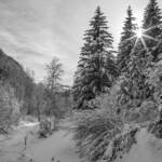 Immagine: La neve e il suo incanto in Lessinia Vladimiro Cozza 