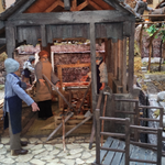 Immagine: La segheria veneziana